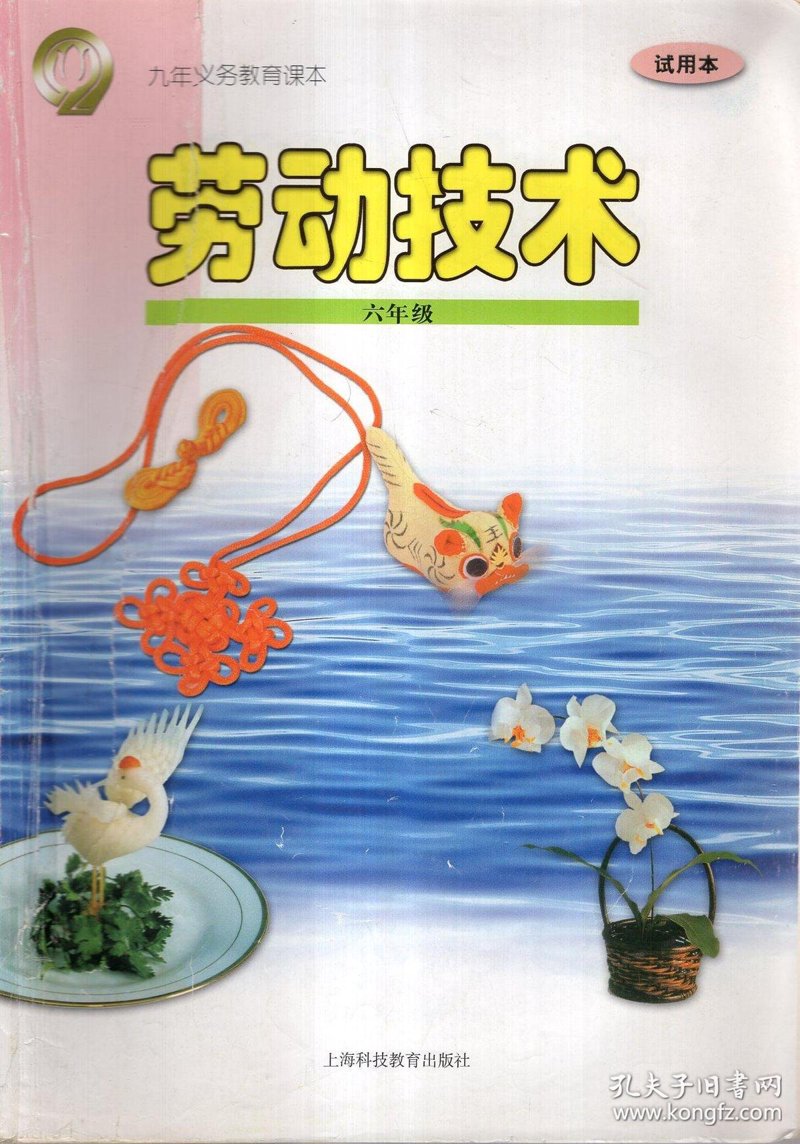 课程资源的核心和主要组成是什么？让我们一起探索这个主题，揭开其神秘面纱。