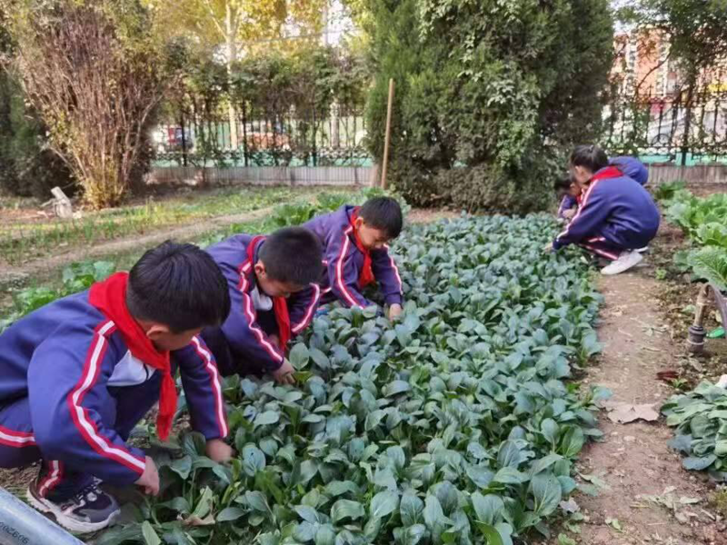 在教育领域，尤其是在“劳动技术”和“综合实践”的课程设计中，课程资源的核心和主要组成部分是什么？这不仅仅是一个理论问题，更关乎实际教学效果的提升。